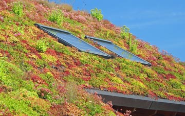 Doe Lea living roof systems